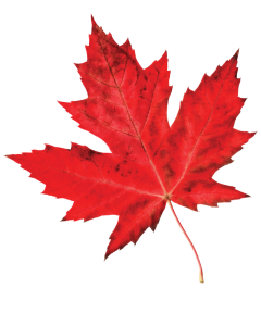 Langley Canada Day